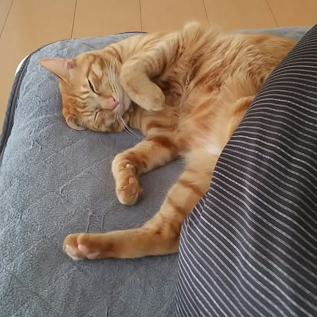 tanaさんの実例写真