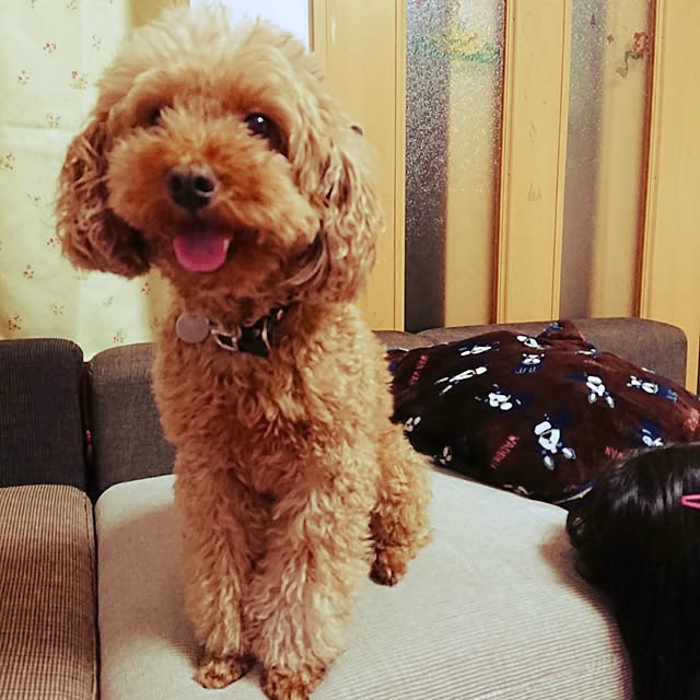 Saeさんの実例写真