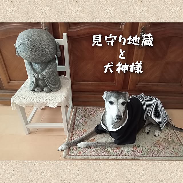moruさんの部屋