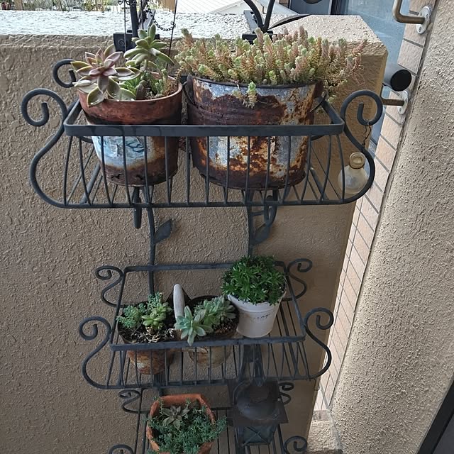 komikaoさんの部屋