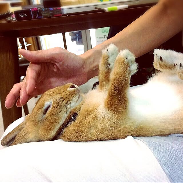 Yasuyukiさんの実例写真