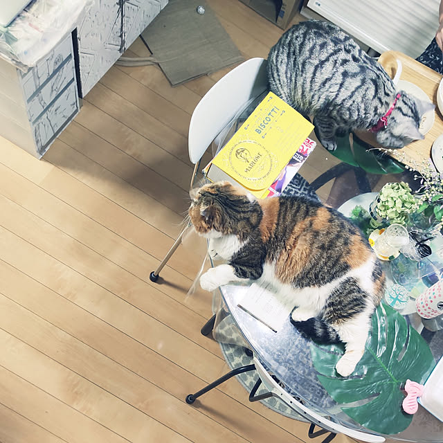 hiro3さんの実例写真