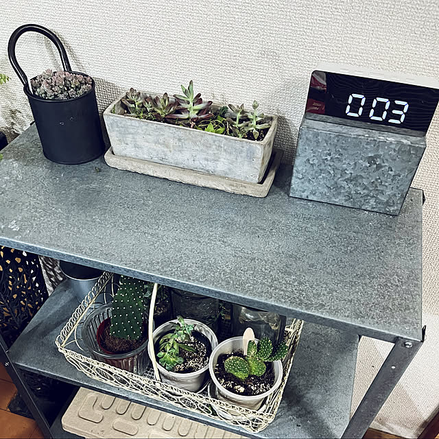 cagosukiさんの実例写真
