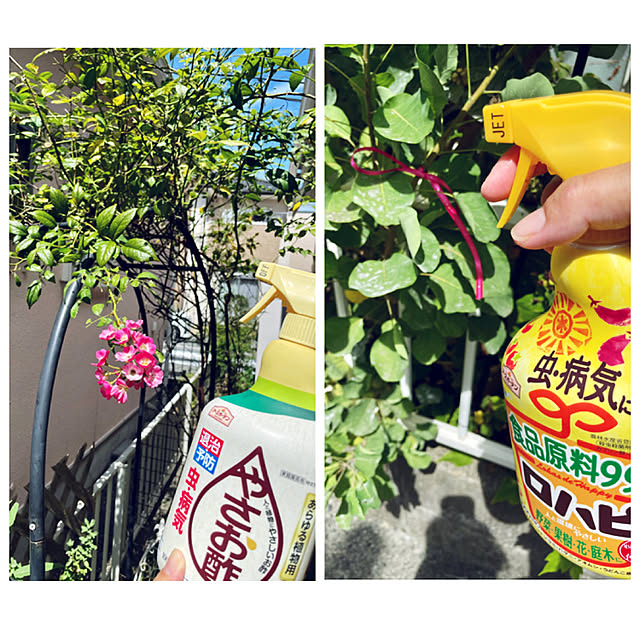 asako.10さんの実例写真