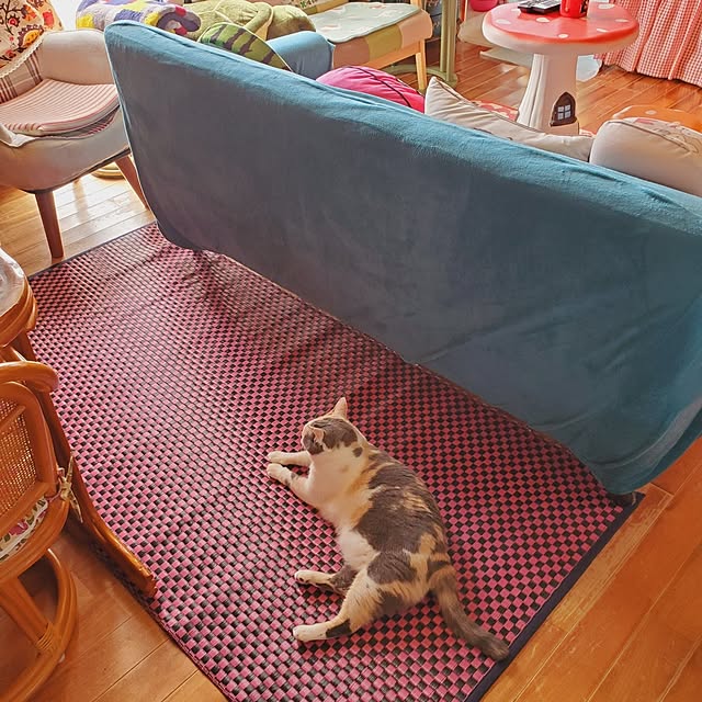 kumutanさんの実例写真