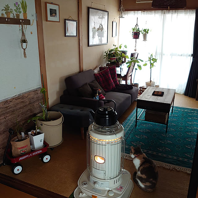 fukuさんの実例写真