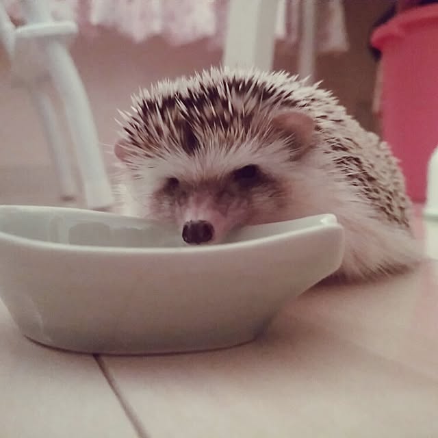 kuruさんの実例写真