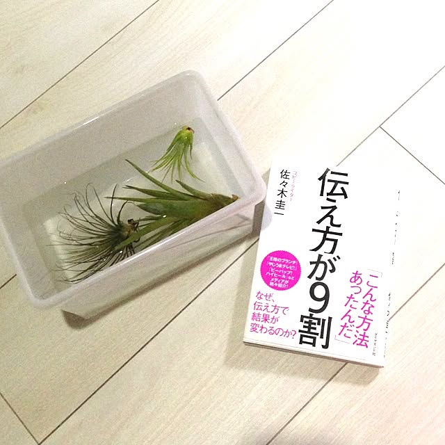 Maikaさんの実例写真