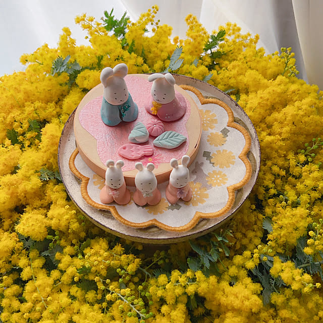 portulacaさんの実例写真
