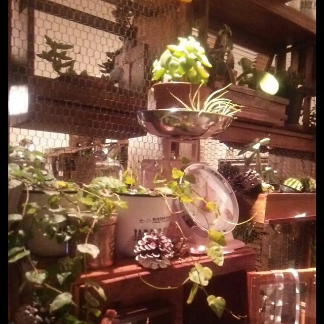 ugさんの実例写真