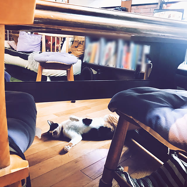 maroさんの実例写真