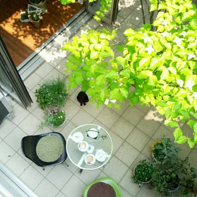 coconana165さんの実例写真