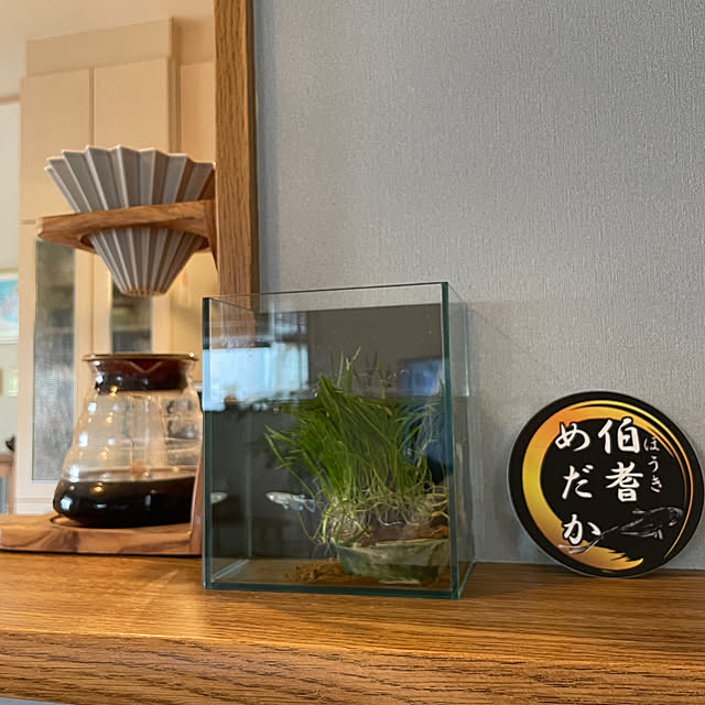 taka17cafeさんの実例写真