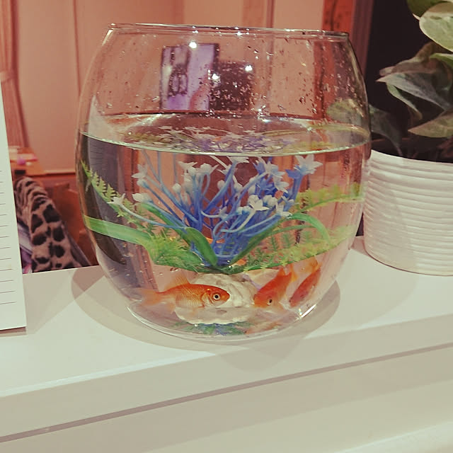 nanaさんの実例写真