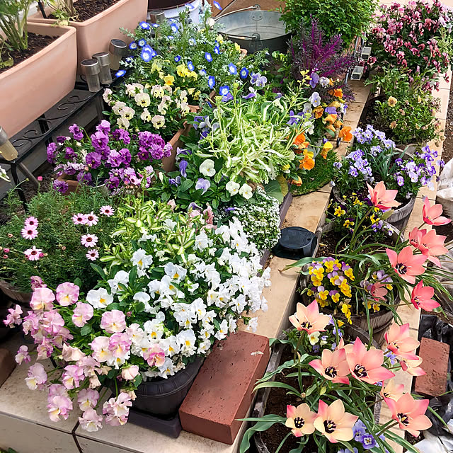 tomoさんの実例写真