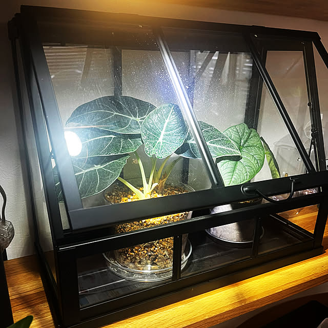 akiさんの実例写真