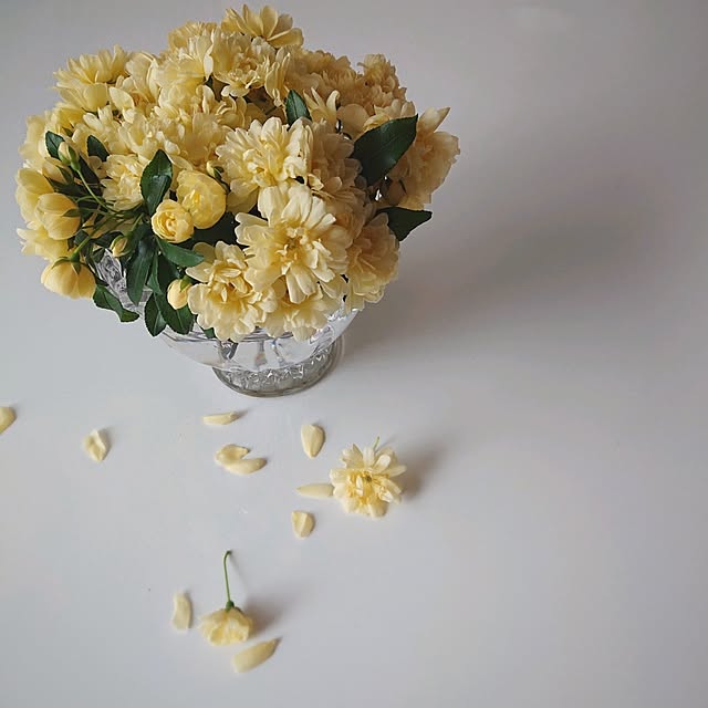 Mi-koさんの部屋