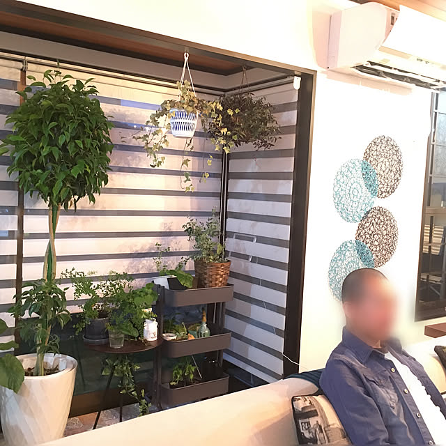 Yukinekoさんの実例写真