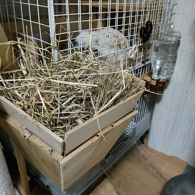 mori_6_12さんの部屋