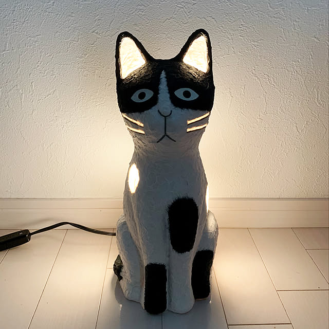 bikkeさんの実例写真