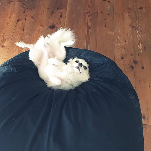 Mihoさんの実例写真