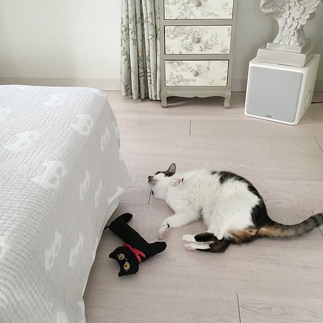 yuchiさんの実例写真