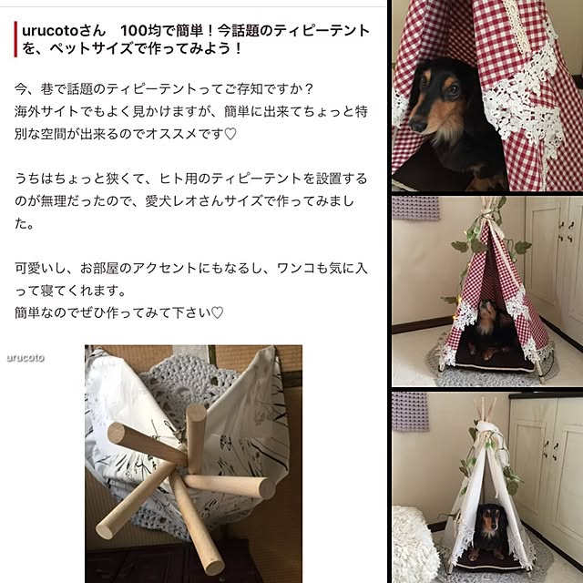 実例写真
