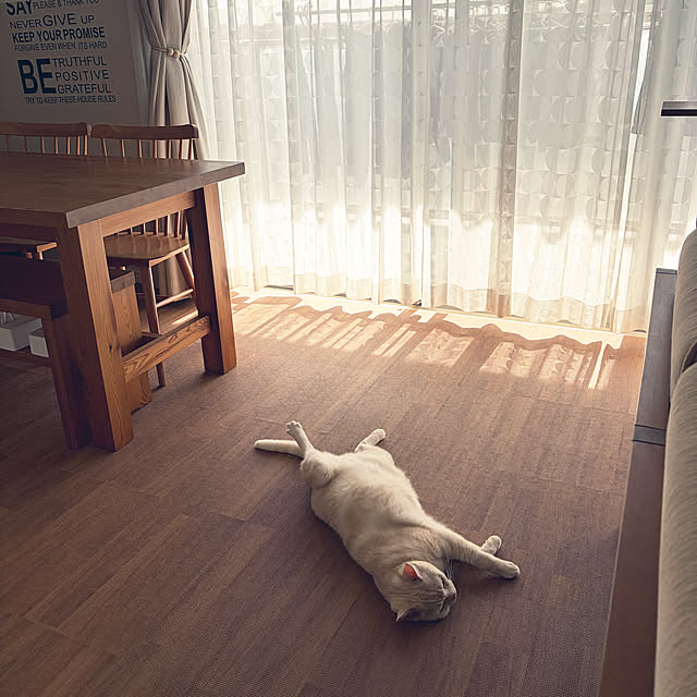 hiyupan88さんの実例写真