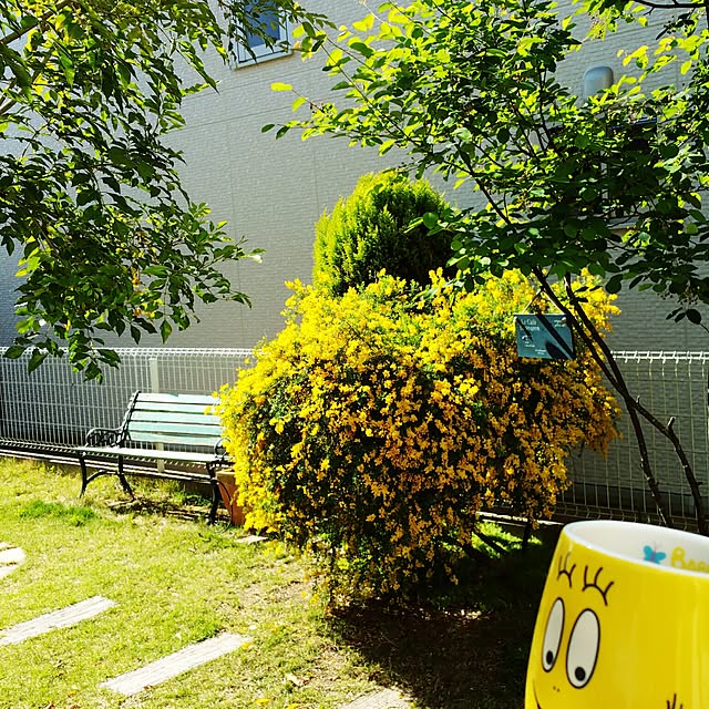 tomoppさんの実例写真