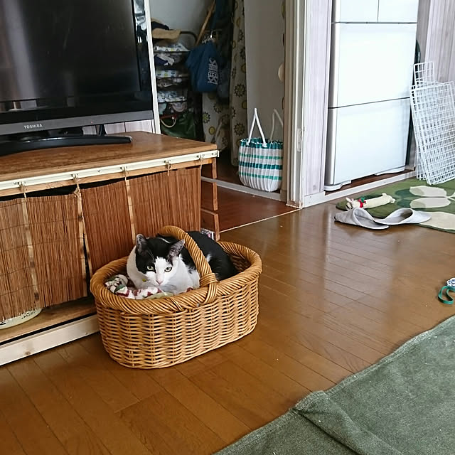 SHIHOさんの実例写真