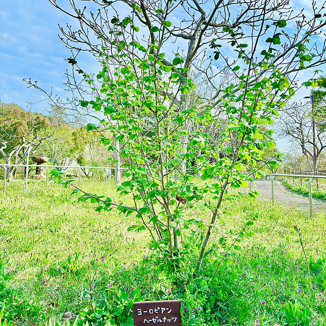 naokoさんの部屋