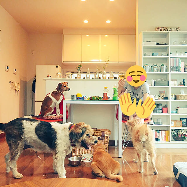 shizuさんの実例写真
