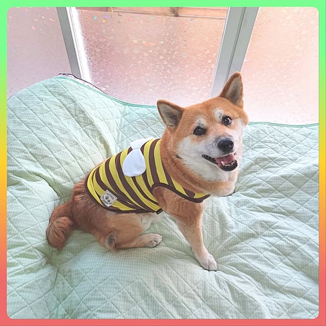 nanaさんの部屋