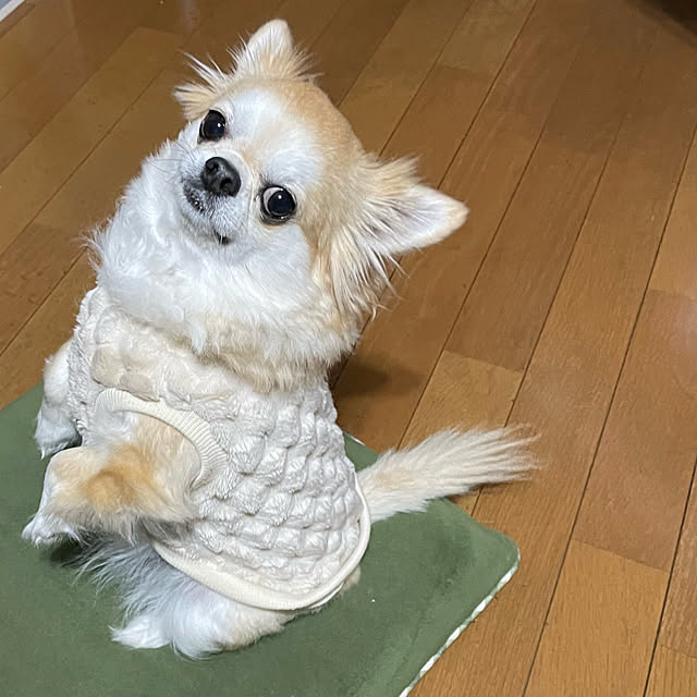 natsumiさんの部屋