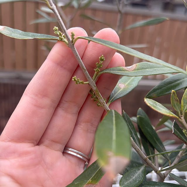 Haruさんの実例写真