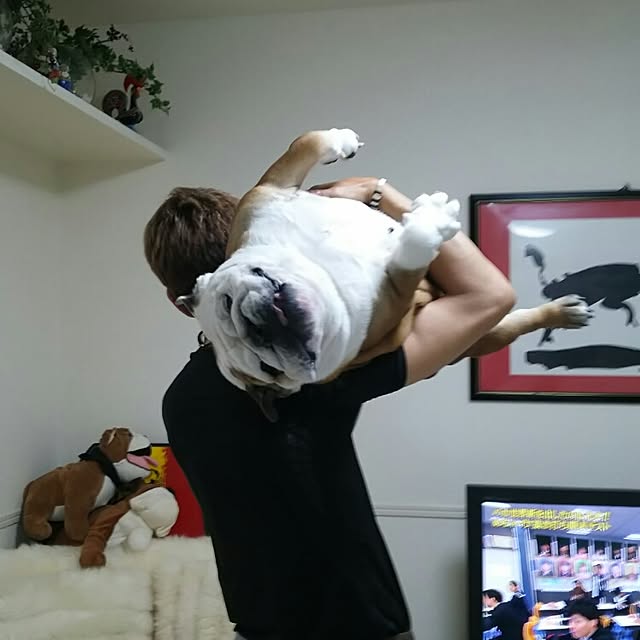 panchobiさんの実例写真