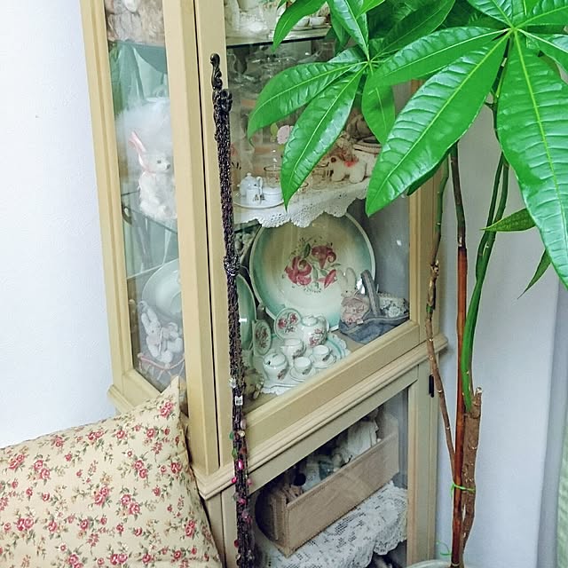 Ayuさんの実例写真