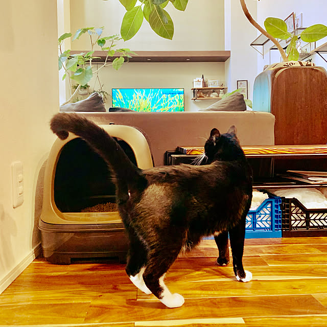 pepperさんの実例写真