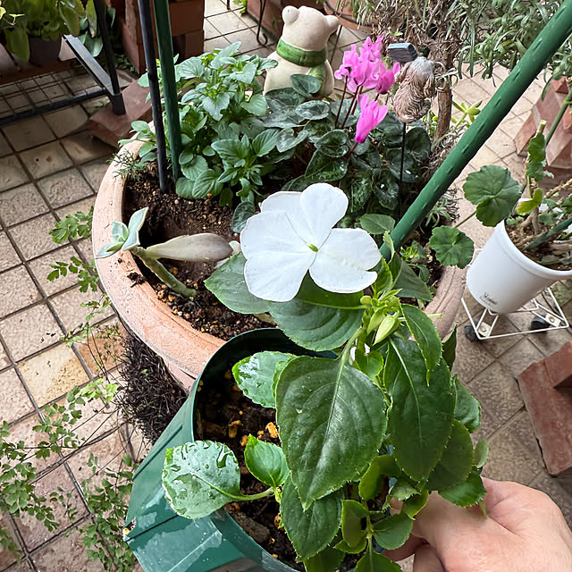 Aqettyさんの実例写真