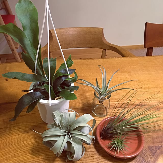 mariharuさんの実例写真