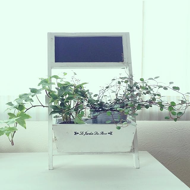 TOMOBINさんの実例写真