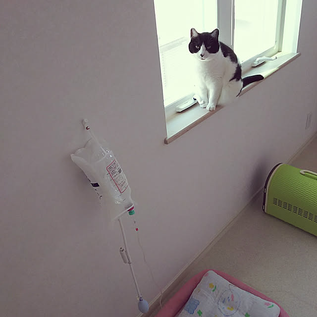 ohagiさんの実例写真