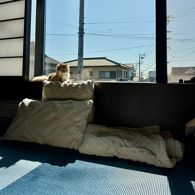 Tomokoさんの実例写真