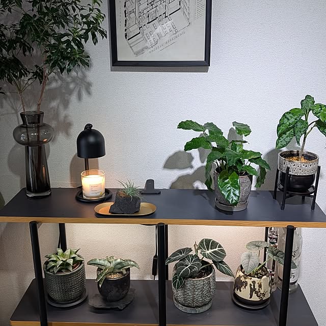 kuroさんの実例写真