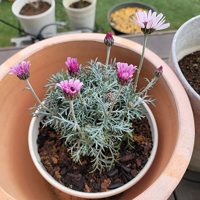 VIORAさんの部屋