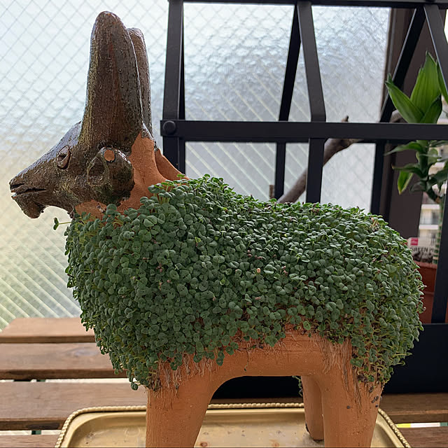 aureaさんの実例写真