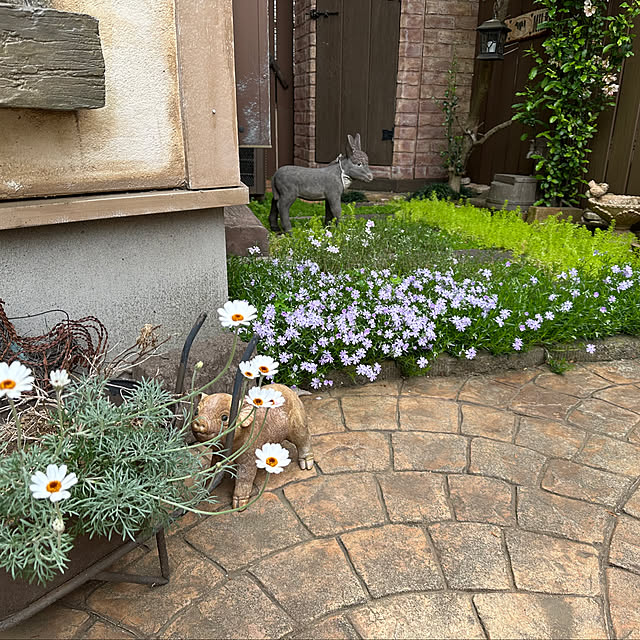 tabasaさんの部屋