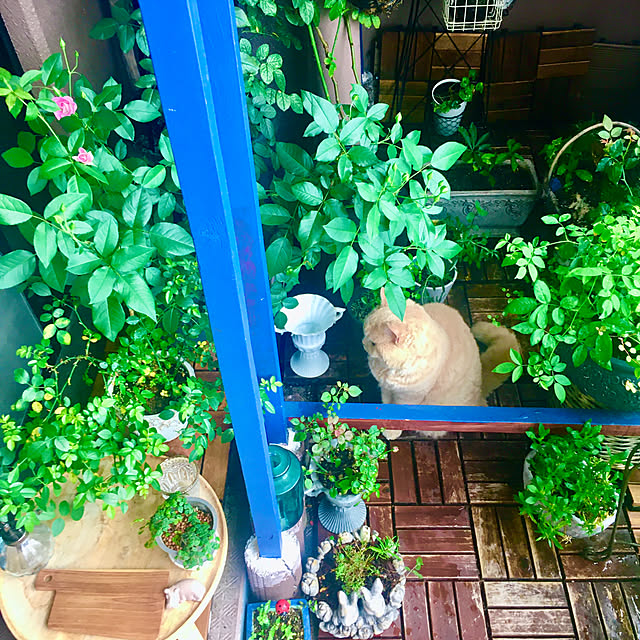 naokoさんの部屋