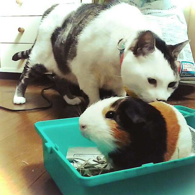 J.BOYさんの実例写真