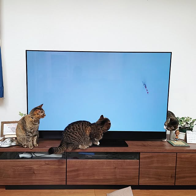 mochicoさんの実例写真
